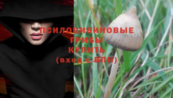 скорость Абаза