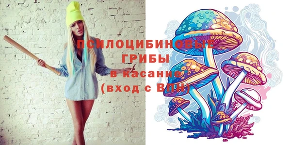 сатива Сафоново