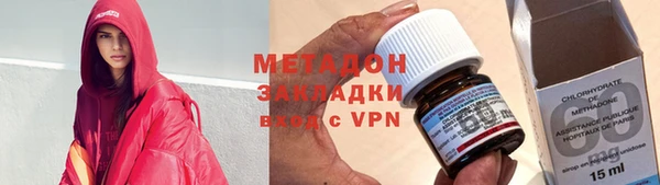 прущие грибы Саяногорск