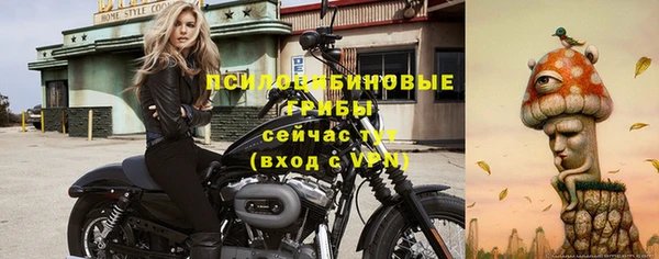 скорость Абаза