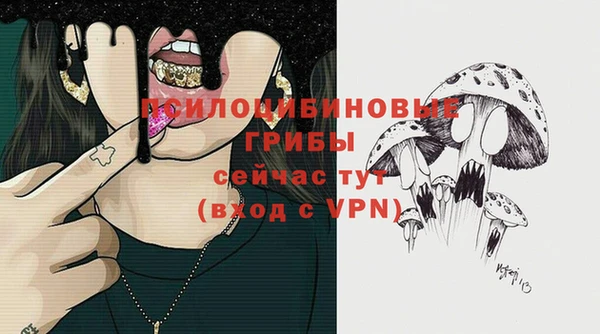 сатива Сафоново