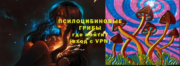 скорость Абаза