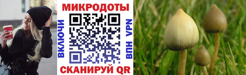 ссылка на мегу ONION  Знаменск  Псилоцибиновые грибы ЛСД 